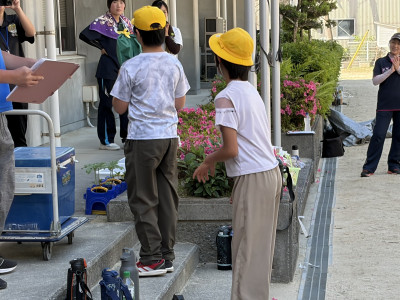 IMG_352VVVV1