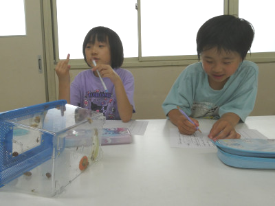 P1000878DDDDDDD