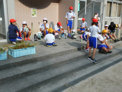 P1003331GGGGGGGGGGG