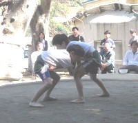 IMG_8828 ccc