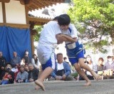IMG_7348 ccc