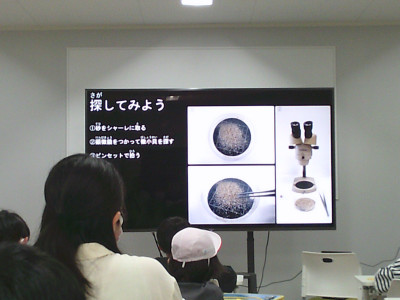 DSCF0004