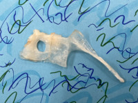 台紙付き　教頭先生PPPPP